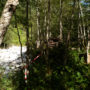 Snipern am Fluss