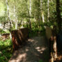 Brücke